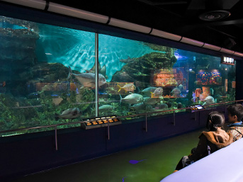 Hekinan Seaside Aquarium